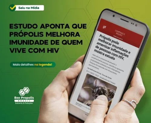 Estudo aponta que própolis melhora imunidade de quem vive com HIV